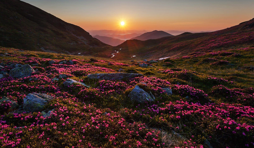 Rodnei, Romania